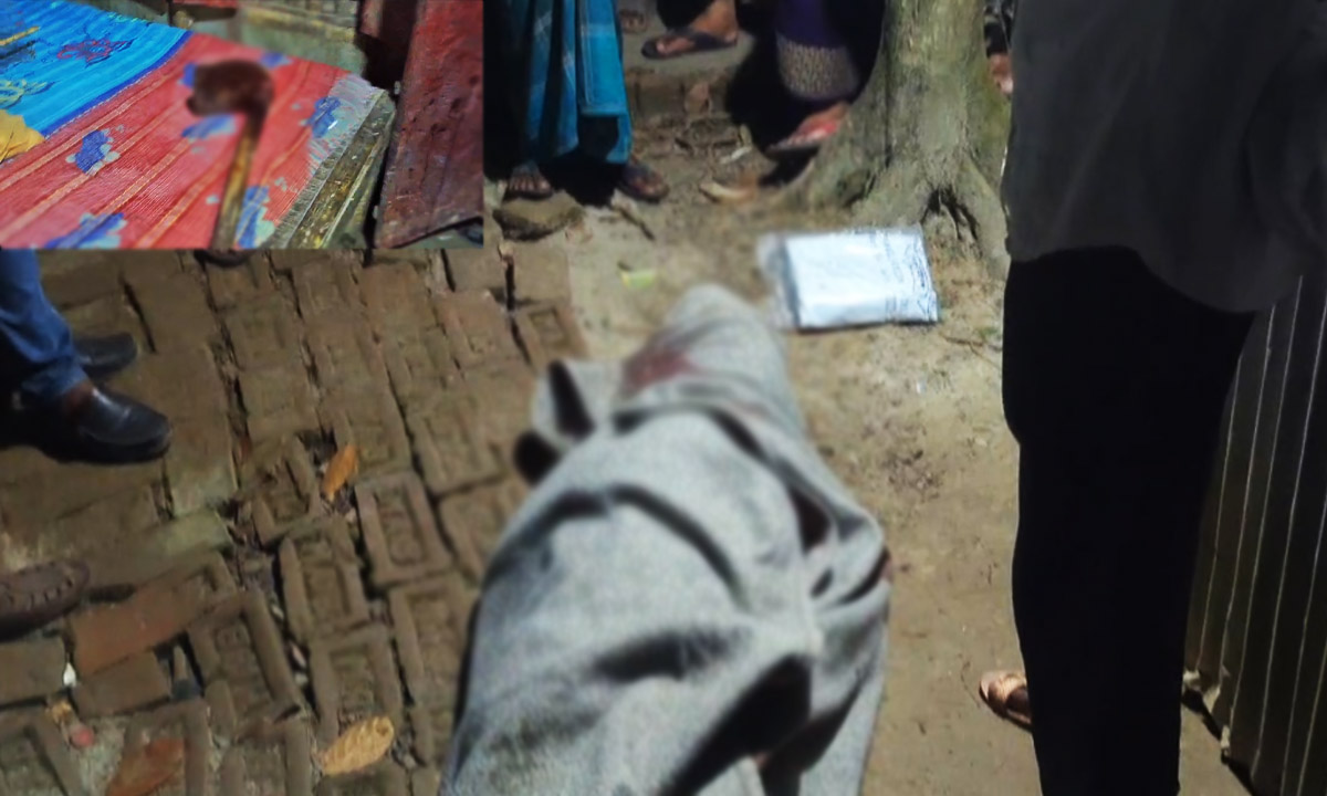 ছবি: রূপালী বাংলাদেশ