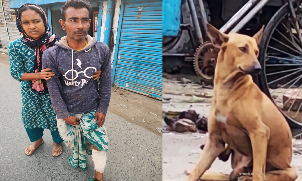 ছবি: রূপালী বাংলাদেশ