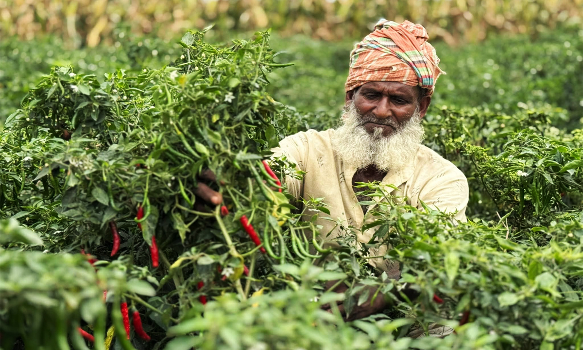 ছবি : রূপালী বাংলাদেশ
