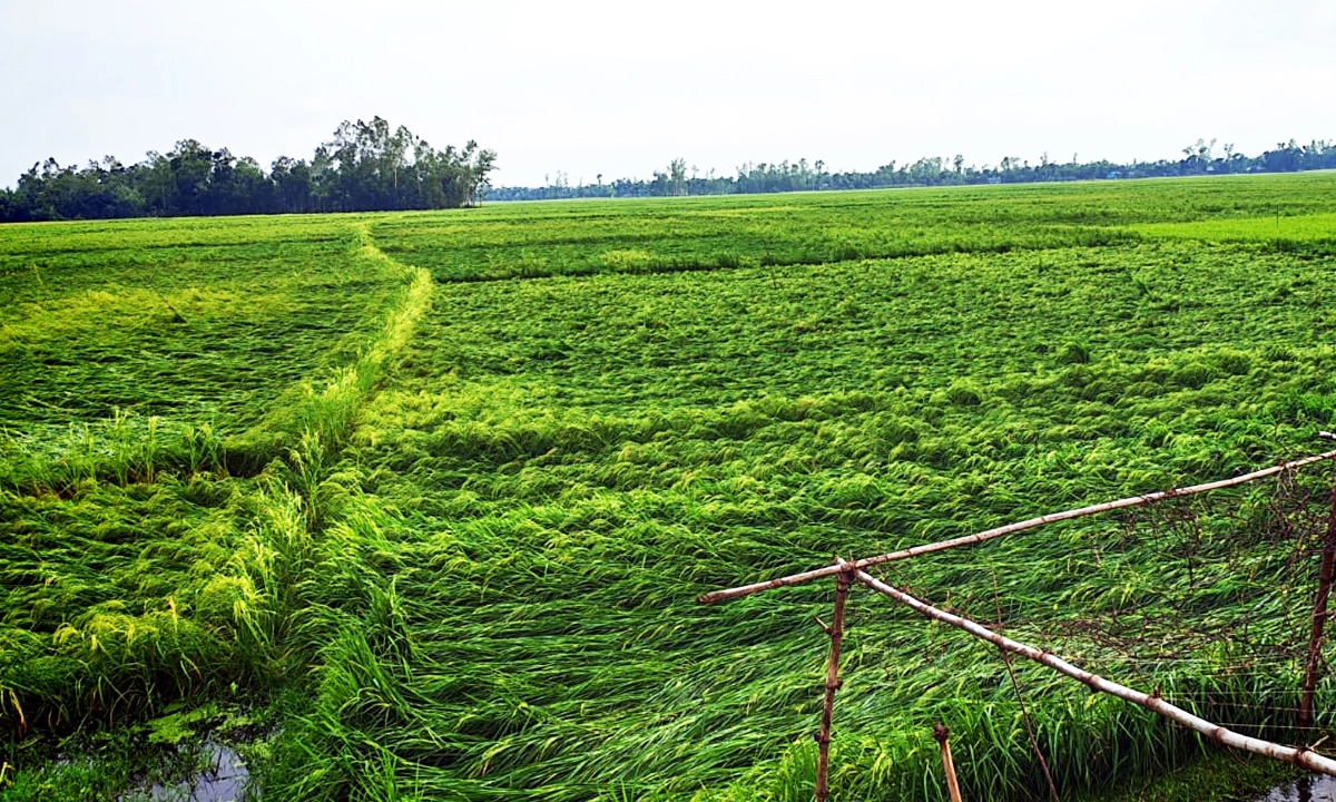 ছবি : রূপালী বাংলাদেশ