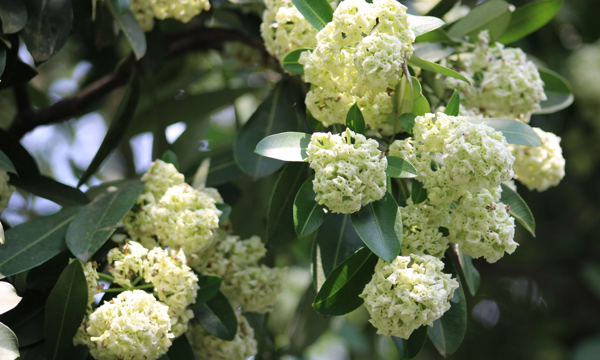 ছবি: রূপালী বাংলাদেশ