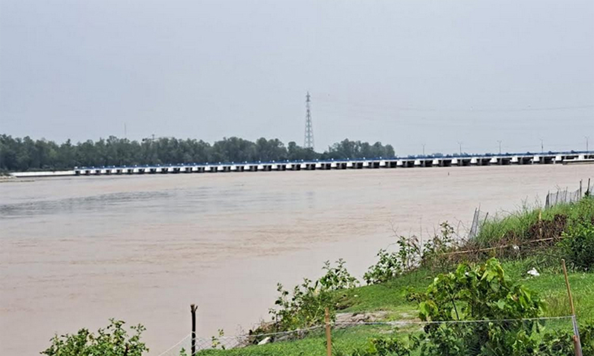 ছবি : সংগৃহীত