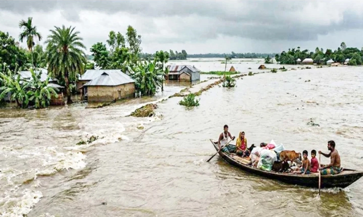 ফাইল ছবি