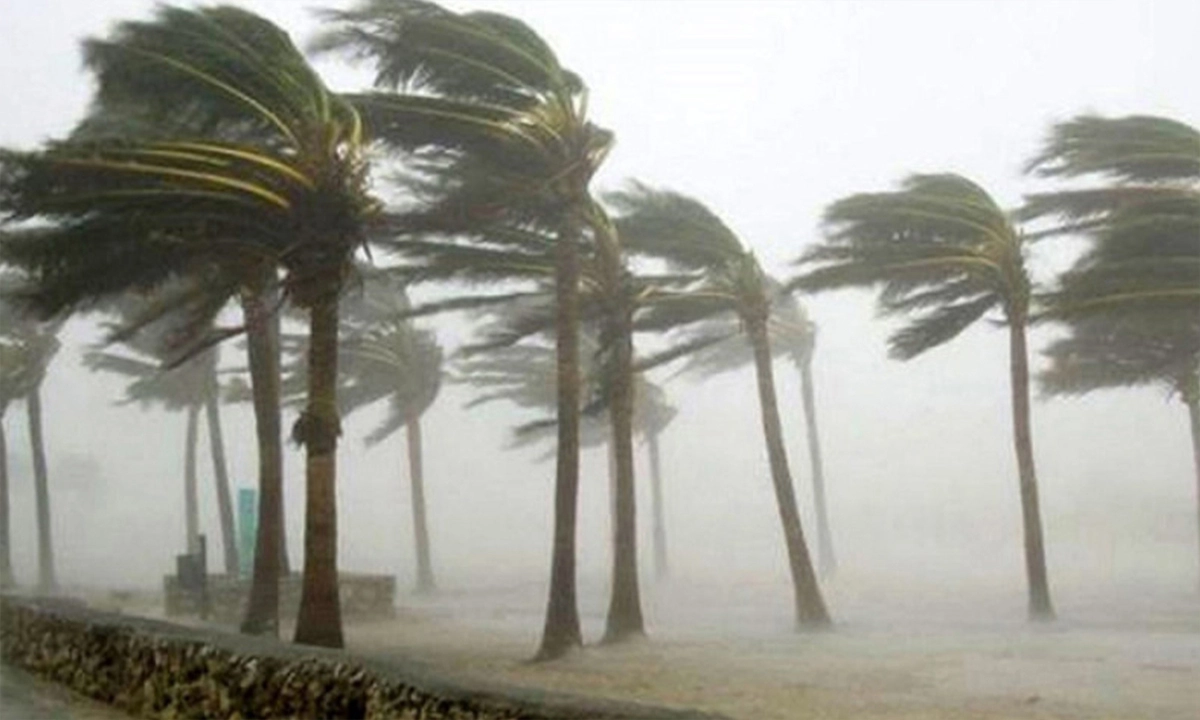 ছবি- সংগৃহীত