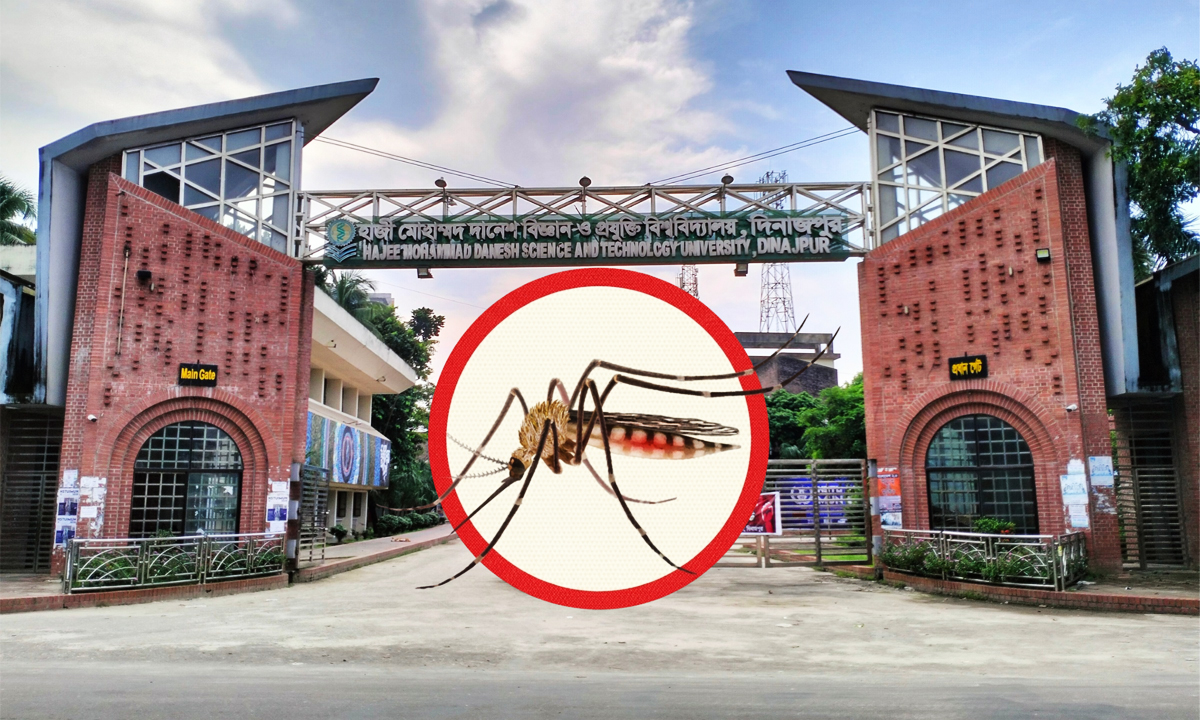 ছবি : রূপালী বাংলাদেশ