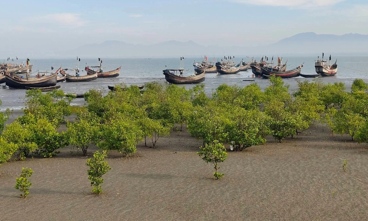 ছবিঃ রূপালি বাংলাদেশ