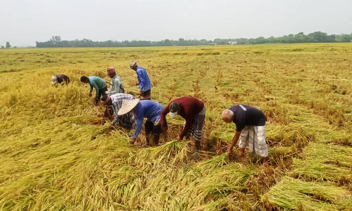 ছবি : রূপালী বাংলাদেশ