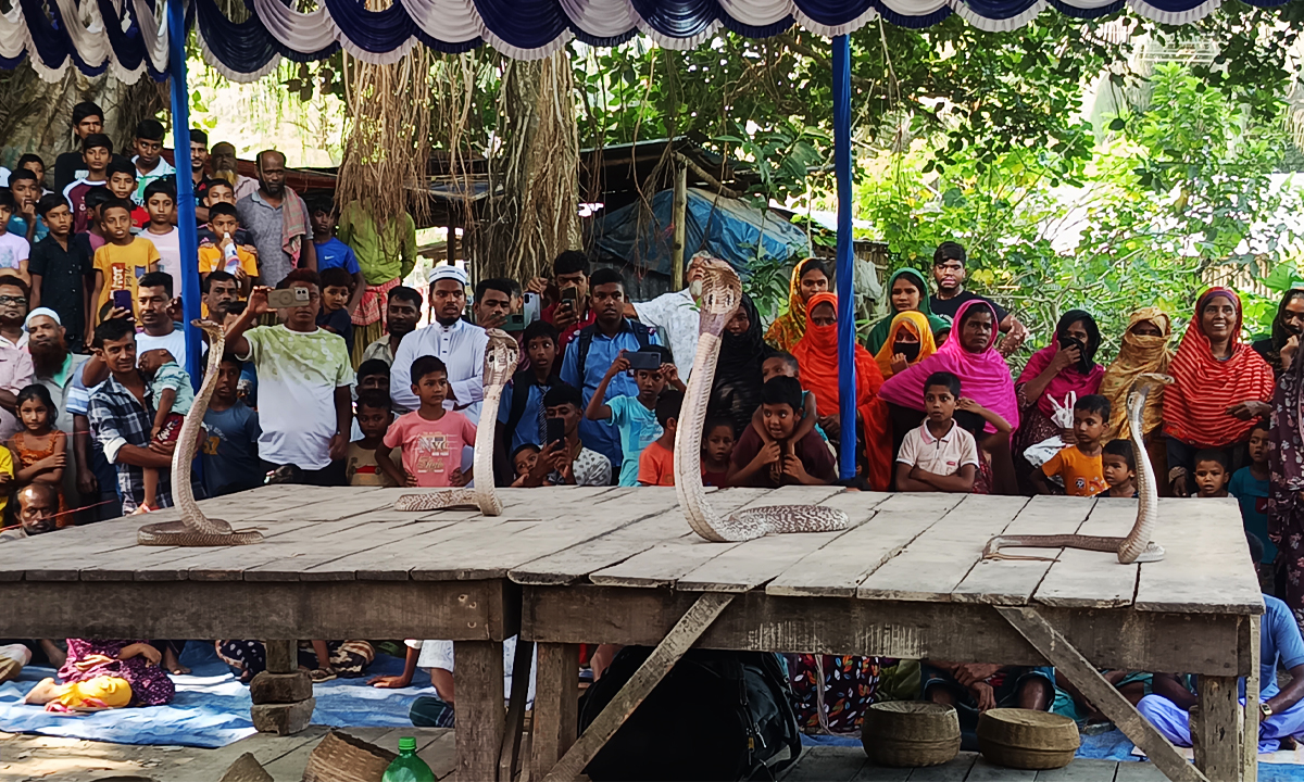 ছবি: রূপালী বাংলাদেশ
