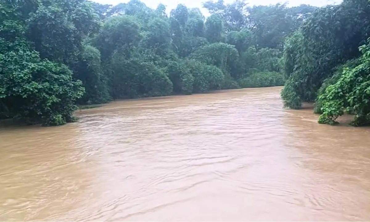 ছবি : সংগৃহীত