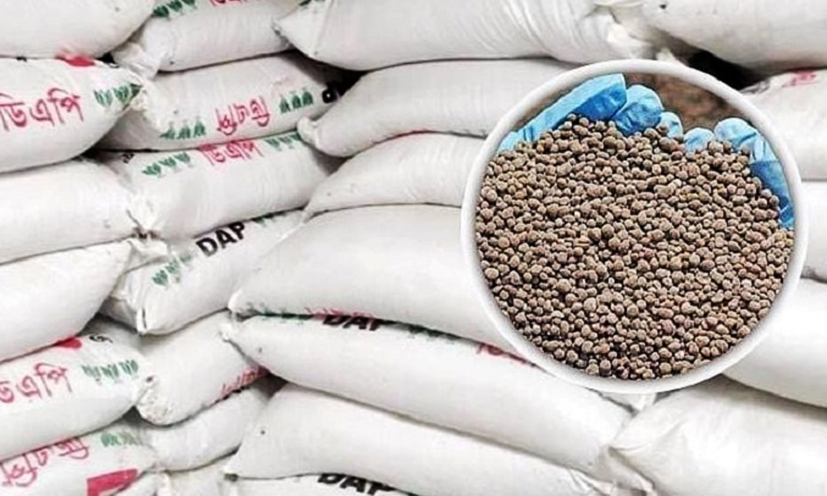 ড্যাপ সার সংকট। ছবি: রূপালী বাংলাদেশ