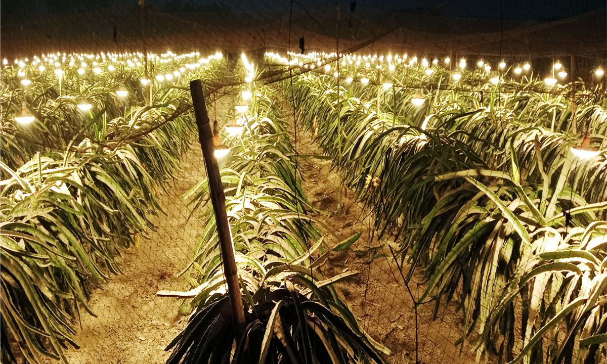 ছবি : রূপালী বাংলাদেশ