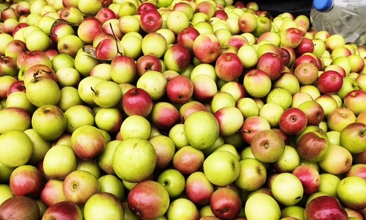 ছবি : রূপালী বাংলাদেশ