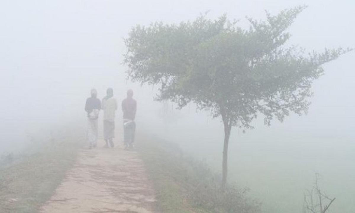 শৈত্যপ্রবাহে কাঁপবে গোটা দেশ। ছবি- পুরোনো