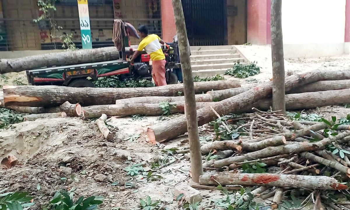 ছবি : রূপালী বাংলাদেশ