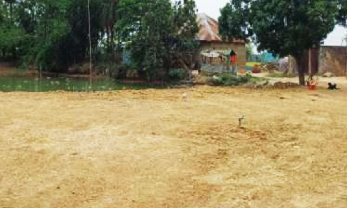 ছবি : রূপালী বাংলাদেশ