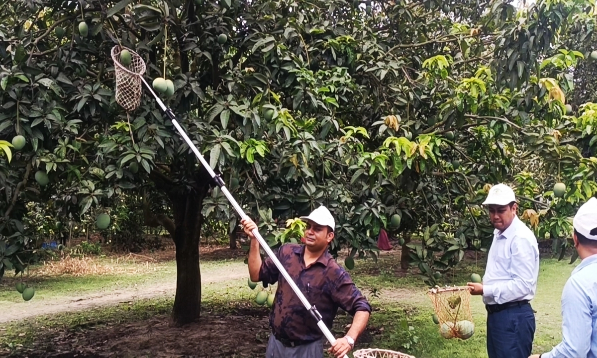 ছবি : রূপালী বাংলাদেশ