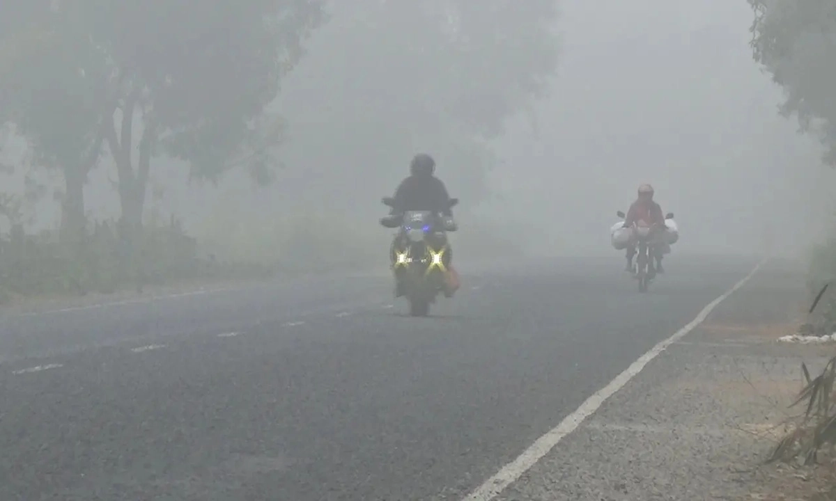 তীব্র কুয়াশায় ছেয়ে গেছে প্রকৃতি। ছবি- সংগৃহীত