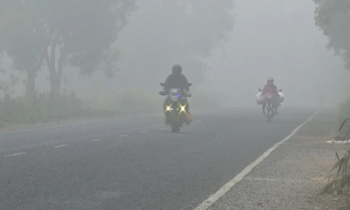 তীব্র কুয়াশায় ছেয়ে গেছে প্রকৃতি। ছবি- সংগৃহীত