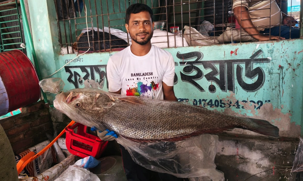 ছবি:  রূপালী বাংলাদেশ