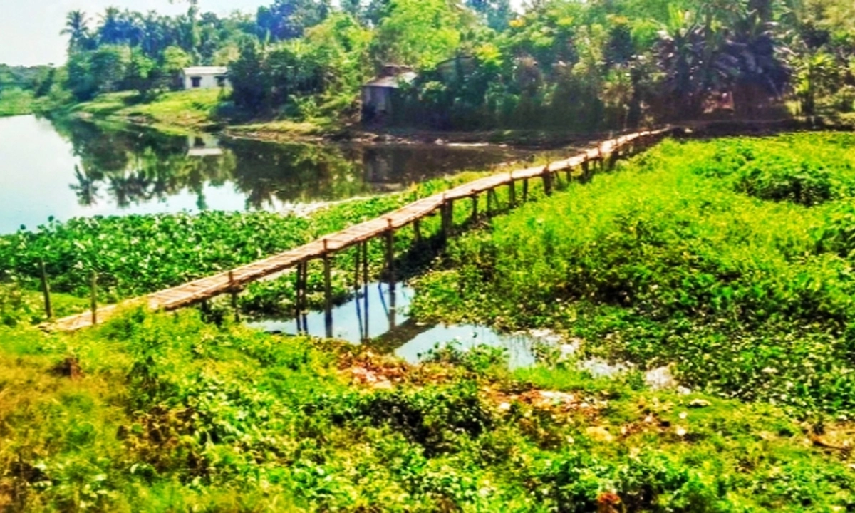 ছবি: রূপালী বাংলাদেশ