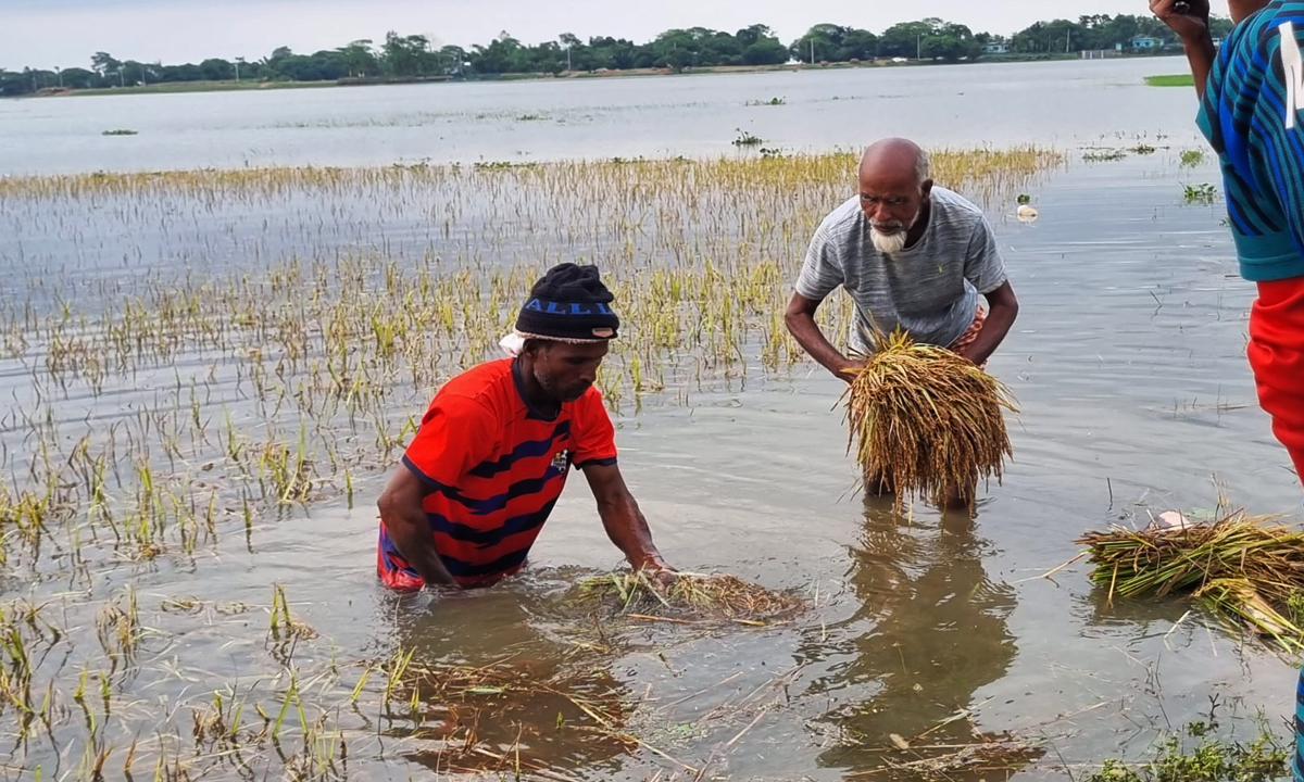 ছবি : রূপালী বাংলাদেশ