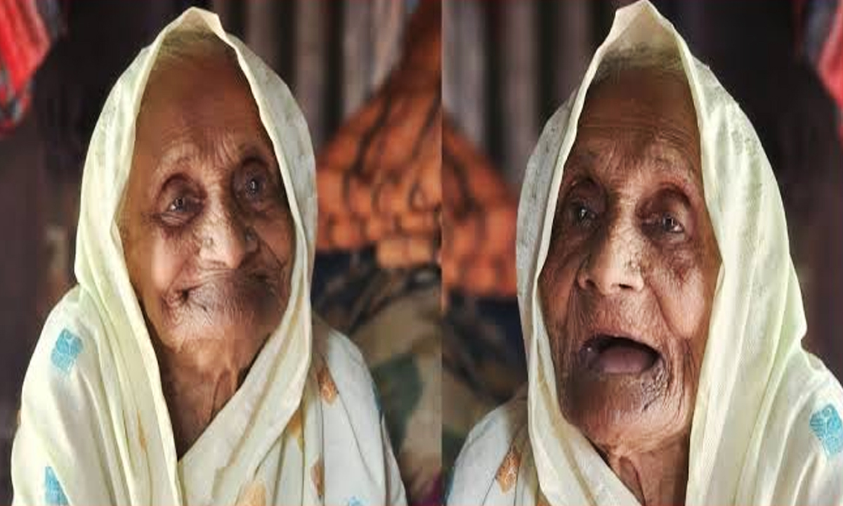 সুফিয়া খাতুন। ছবি : রূপালী বাংলাদেশ