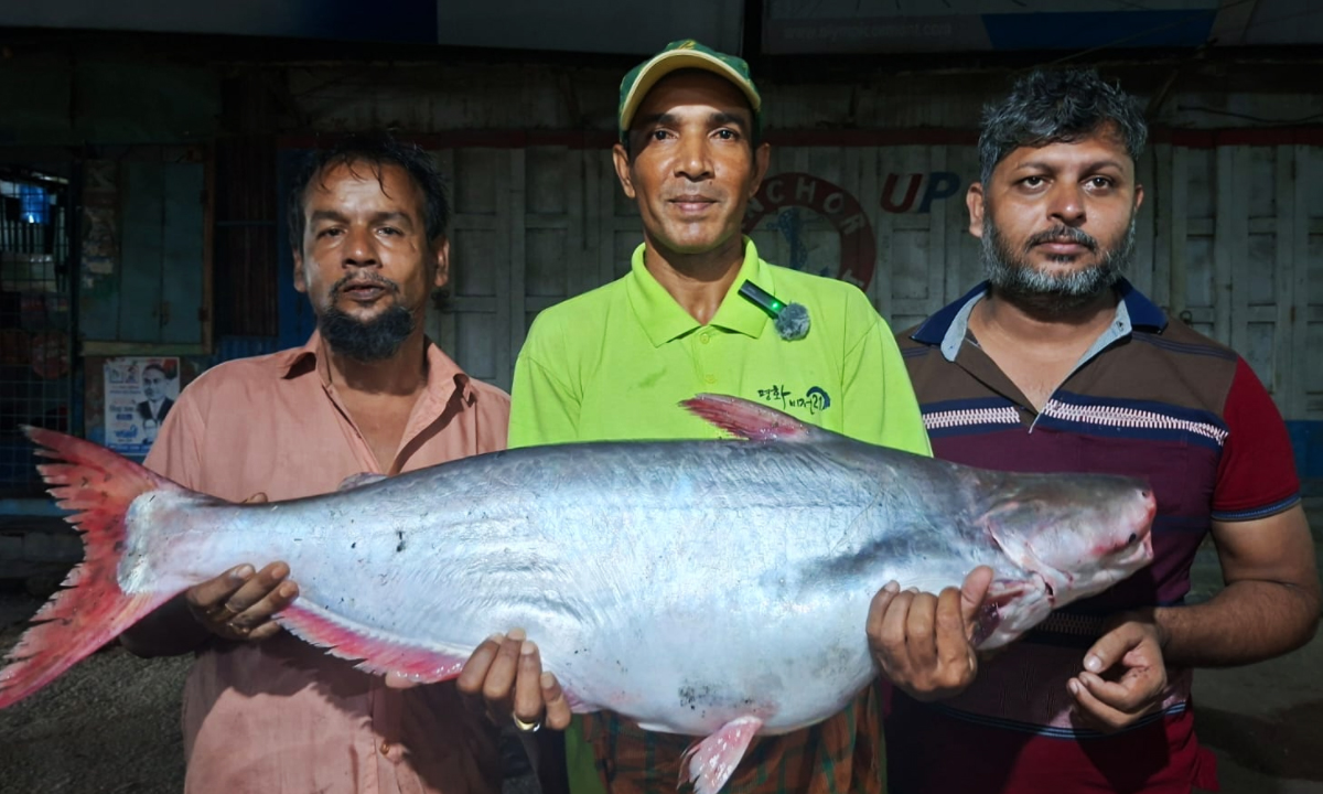 ছবি- রূপালী বাংলাদেশ