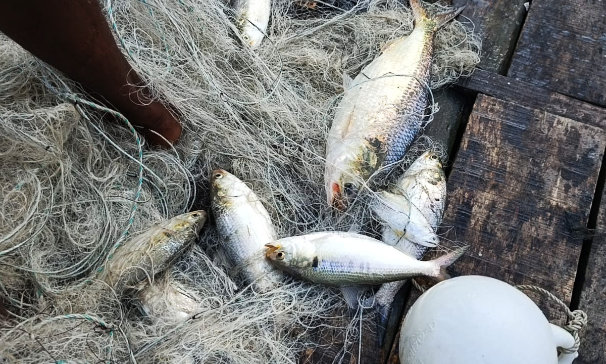 ছবি: রূপালী বাংলাদেশ