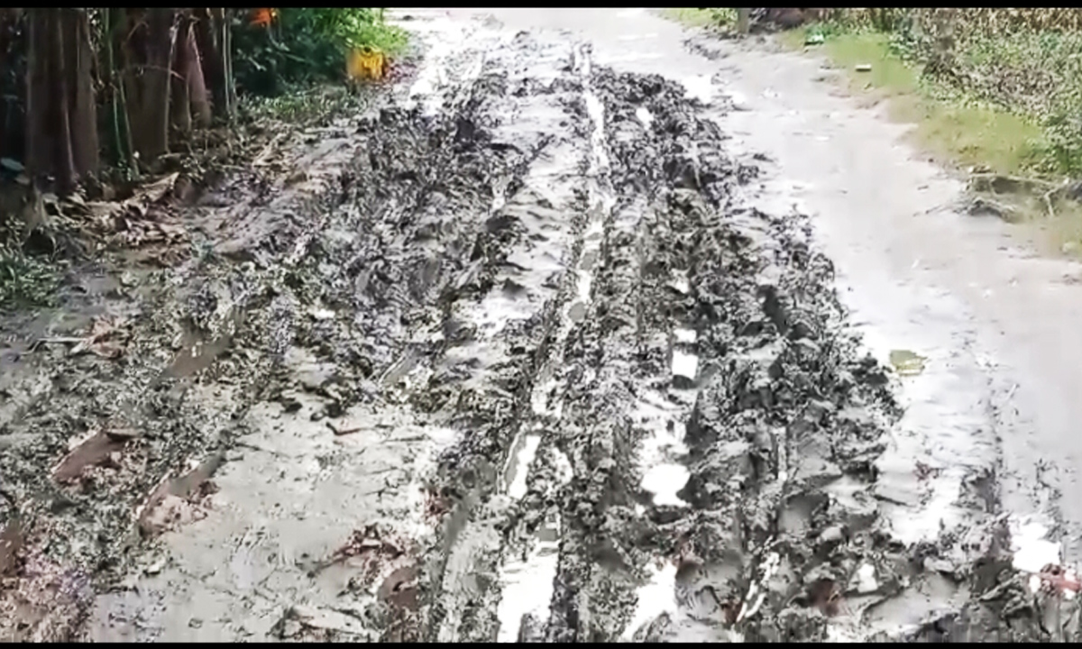 পিরোজপুরের কদমতলা ইউনিয়ন, উন্নয়নের ছোঁয়া থেকে বঞ্চিত এক জনপদ