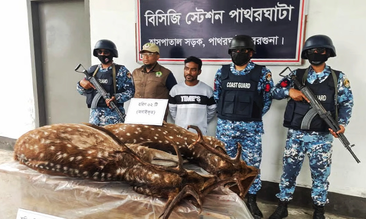 হরিণসহ গ্রেপ্তার মো. হানিফা। ছবি : রূপালী বাংলাদেশ