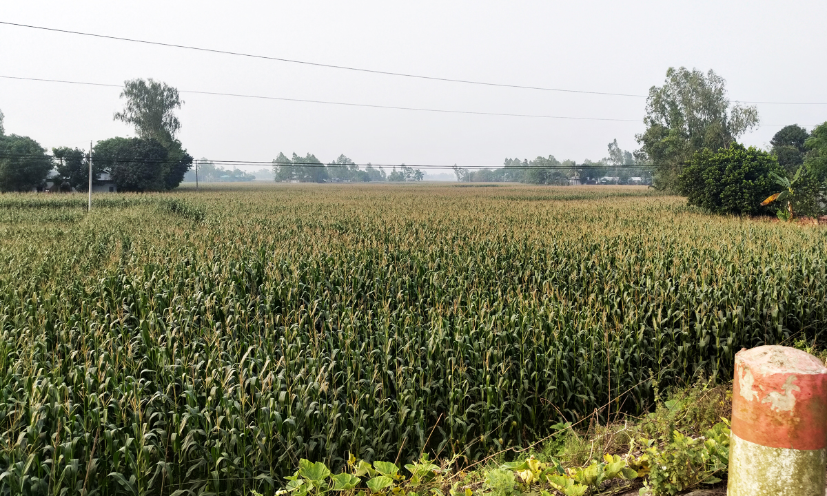 ছবি : রূপালী বাংলাদেশ
