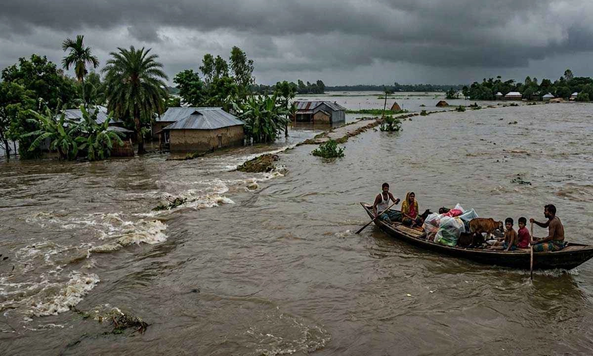 ফাইল ছবি