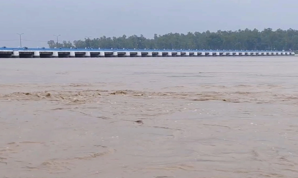 ছবি : সংগৃহীত
