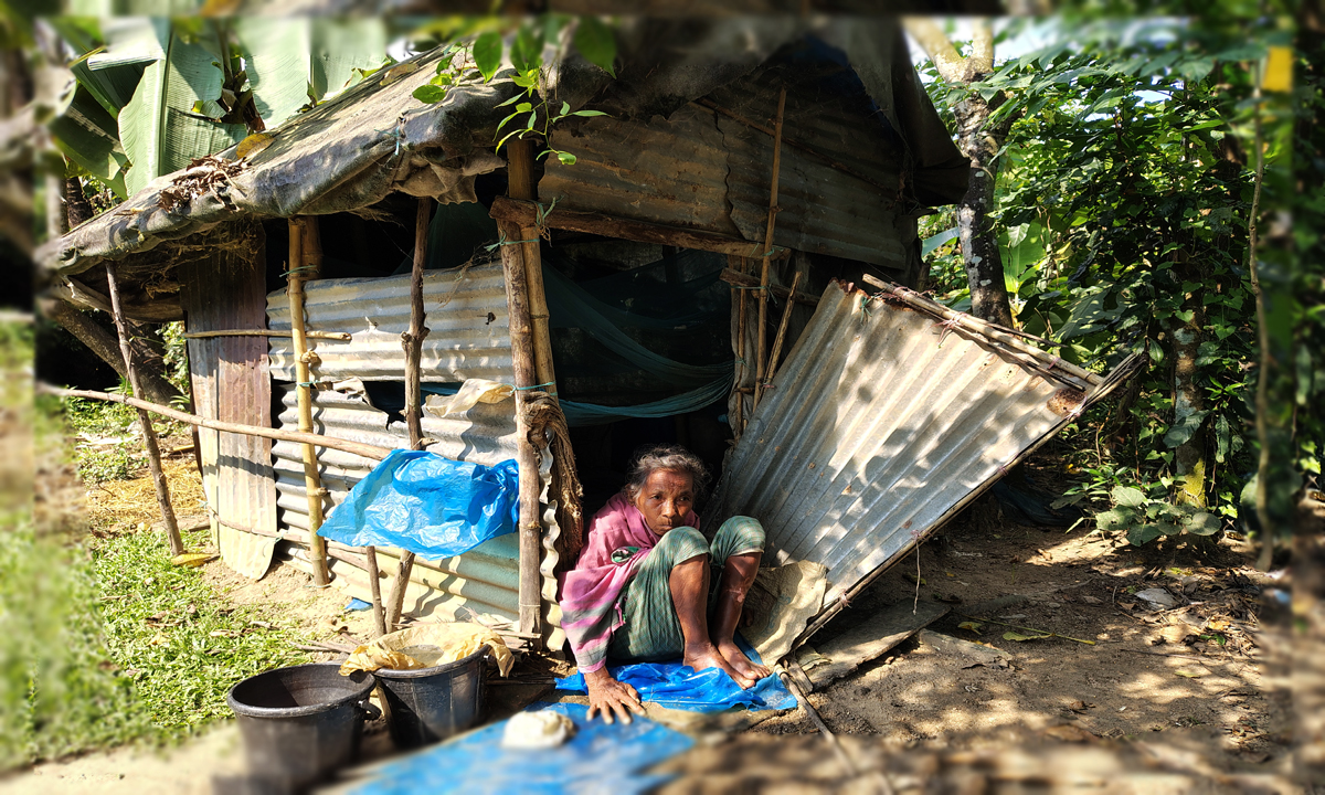 বিমলা হাজং। ছবি: রূপালী বাংলাদেশ