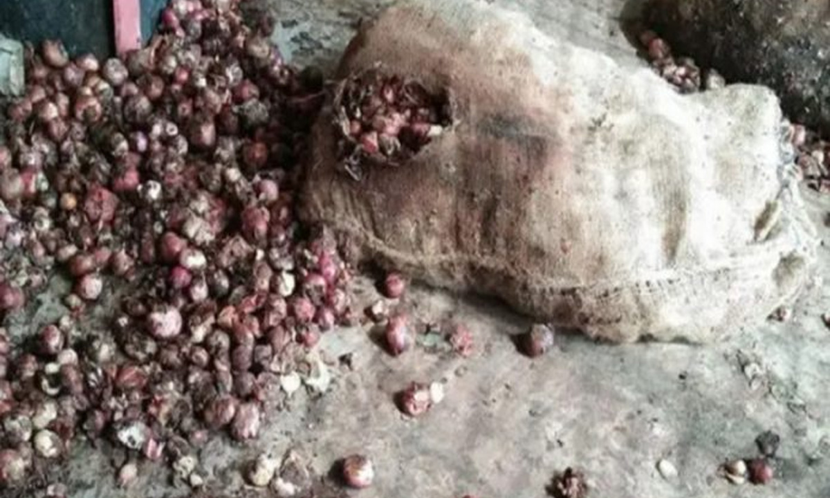 ছবি- সংগৃহীত