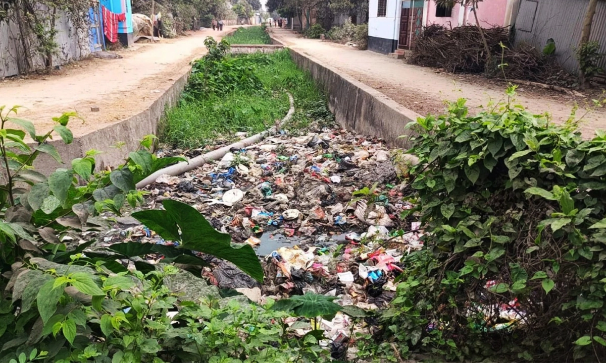 ছবি : রূপালী বাংলাদেশ