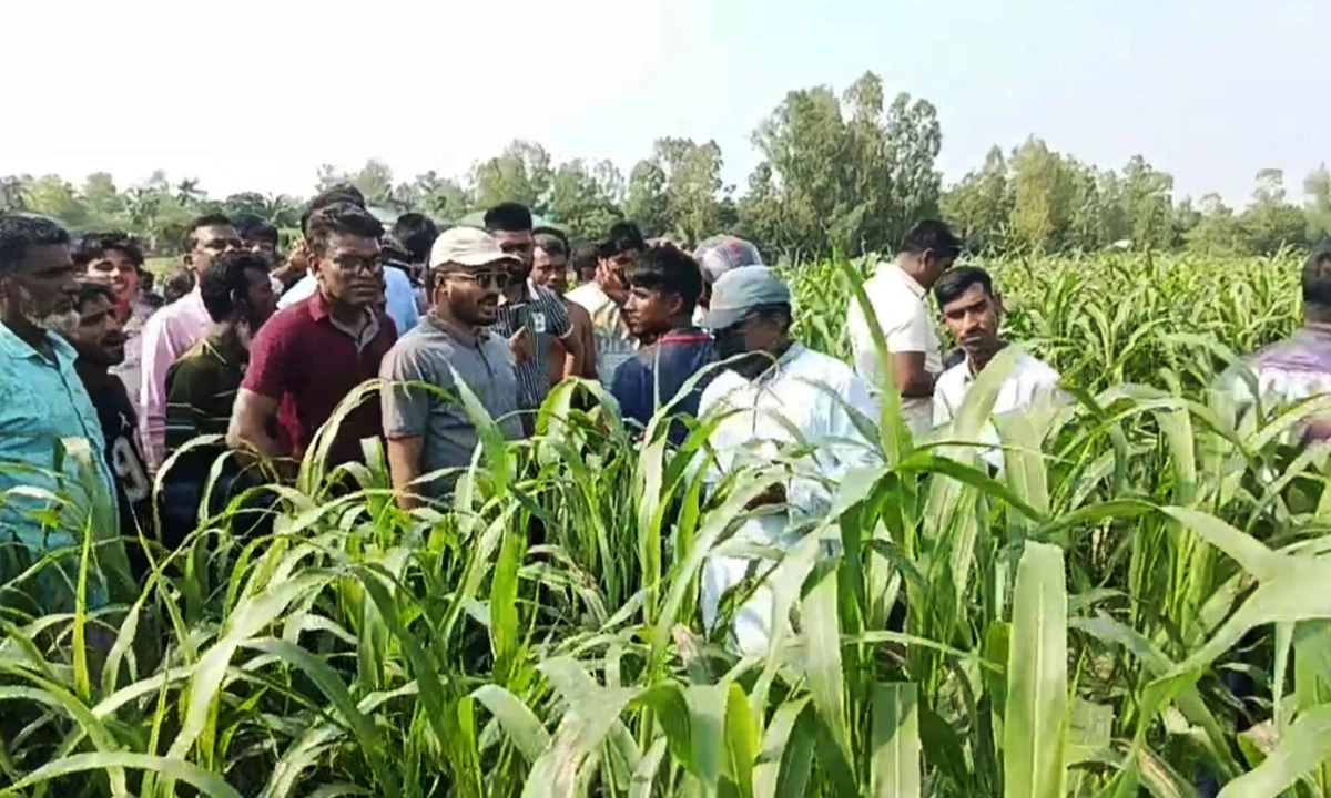 ছবি : রূপালী বাংলাদেশ