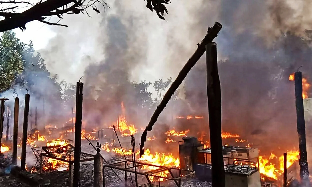 ছবি : রূপালী বাংলাদেশ