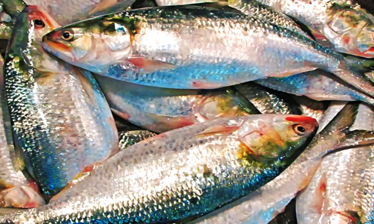 ছবি : রূপালী বাংলাদেশ