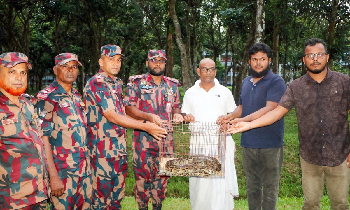 ছবি : সংগৃহীত