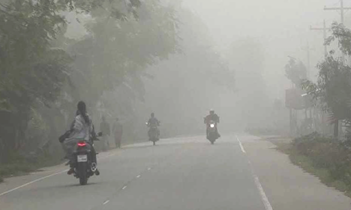 কুয়াশাচ্ছন্ন সকাল। ছবি- সংগৃহীত