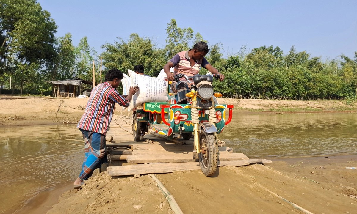 ব্রীজের অভাবে বাশের সাঁকো দিয়ে পারাপার।  ছবি:  রূপালী বাংলাদেশ