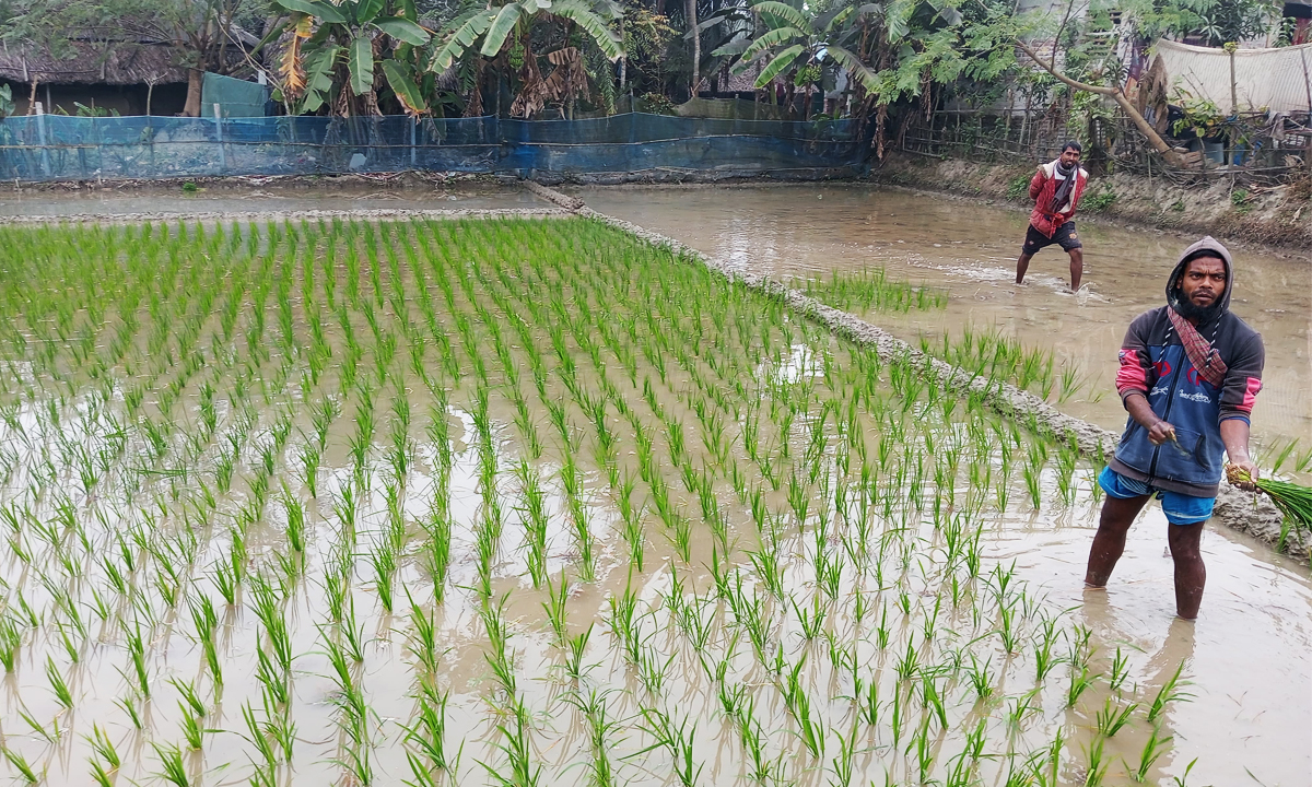 ছবি : রূপালী বাংলাদেশ