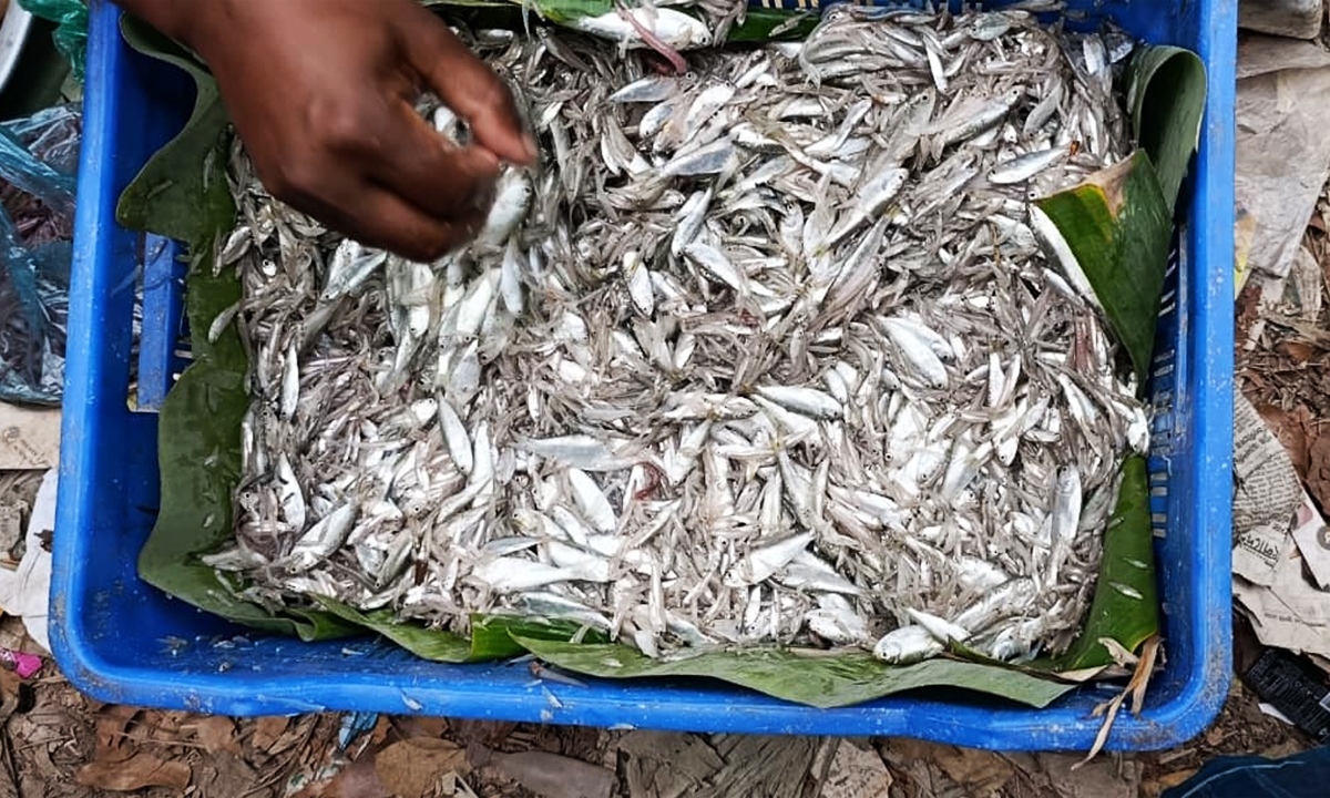 ছবি : রূপালী বাংলাদেশ