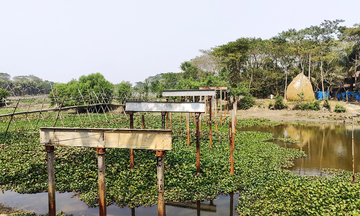 ছবি : রূপালী বাংলাদেশ