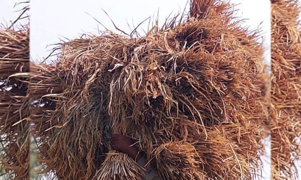 ছবি : রূপালী বাংলাদেশ