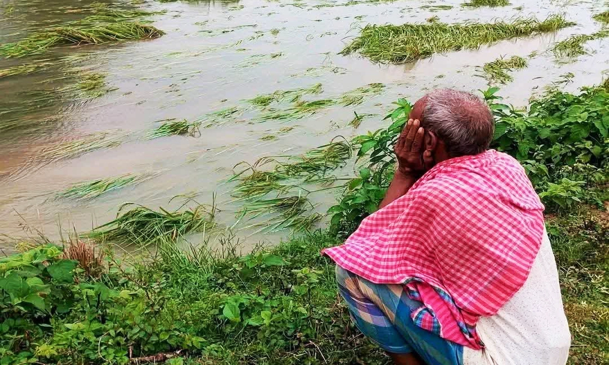ছবি: রূপালী বাংলাদেশ