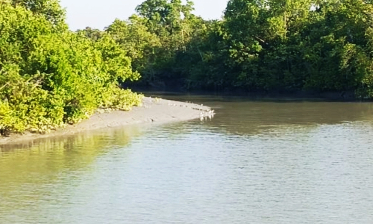 ছবি : রূপালী বাংলাদেশ