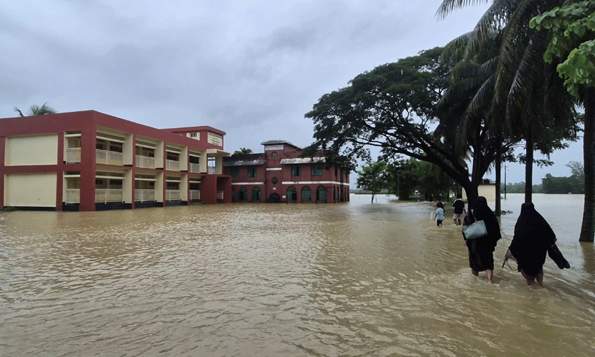 ছবি : সংগৃহীত