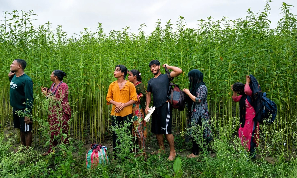 ছবি : সংগৃহীত